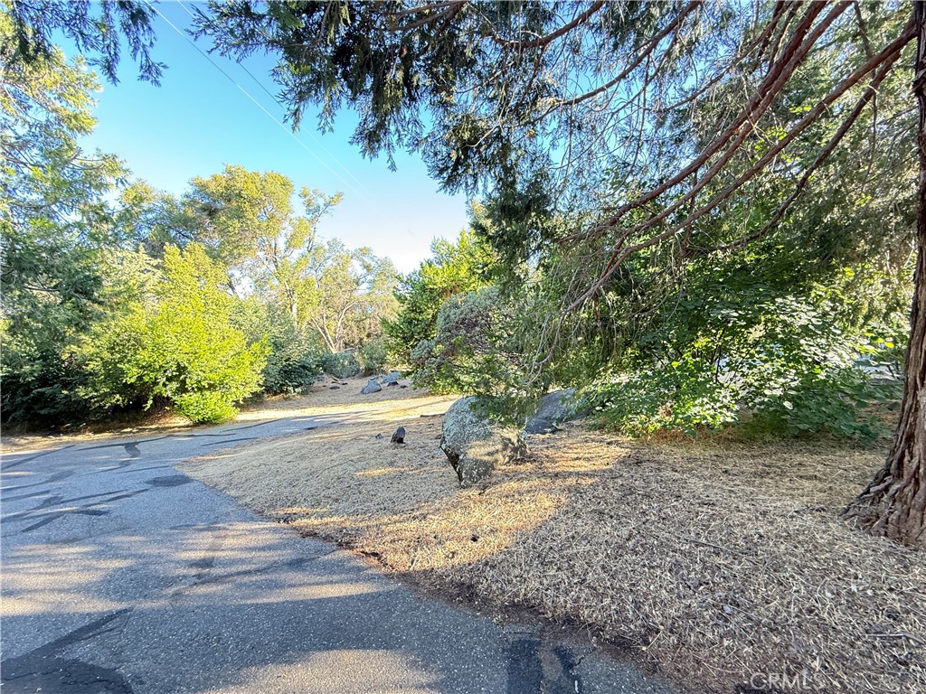 5452 Carleton Road Property Photo 13