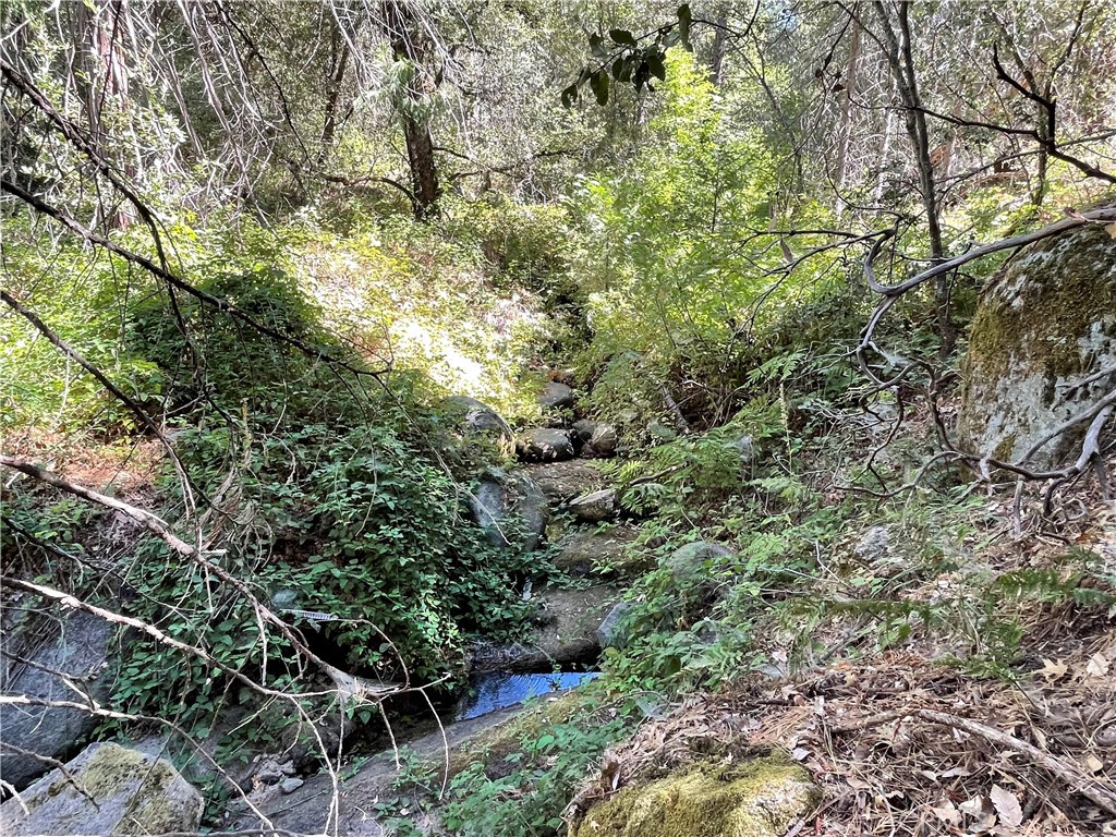 5699 5693 Creel Property Photo 1