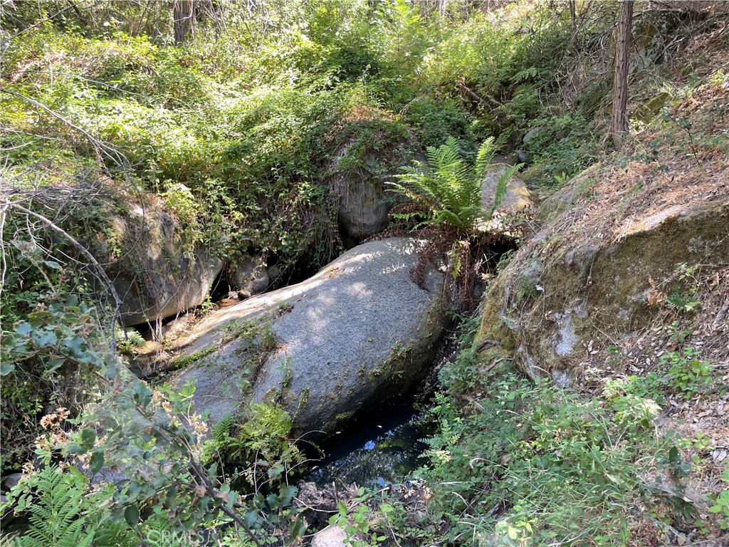 5699 5693 Creel Property Photo 3