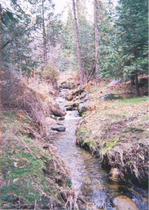 5699 5693 Creel Property Photo 5