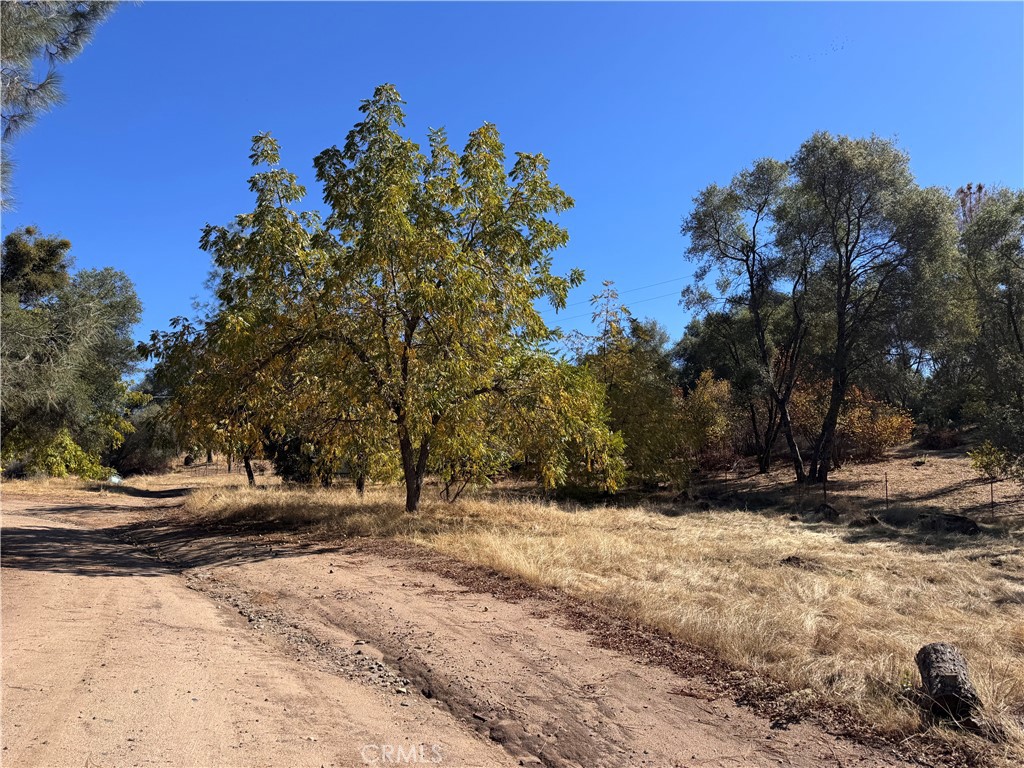 4582 Ashworth Property Photo 5