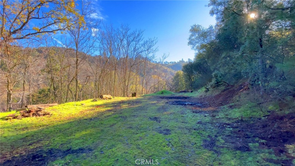 4975 Miller Road Property Photo 7