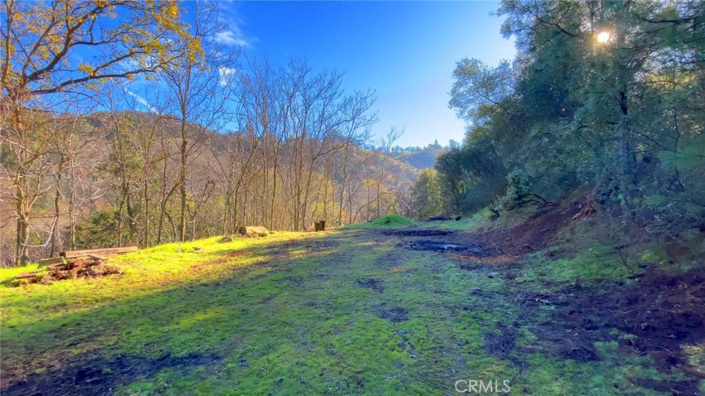 4975 Miller Road Property Photo 7