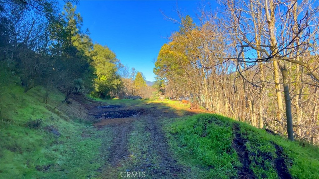 4975 Miller Road Property Photo 9