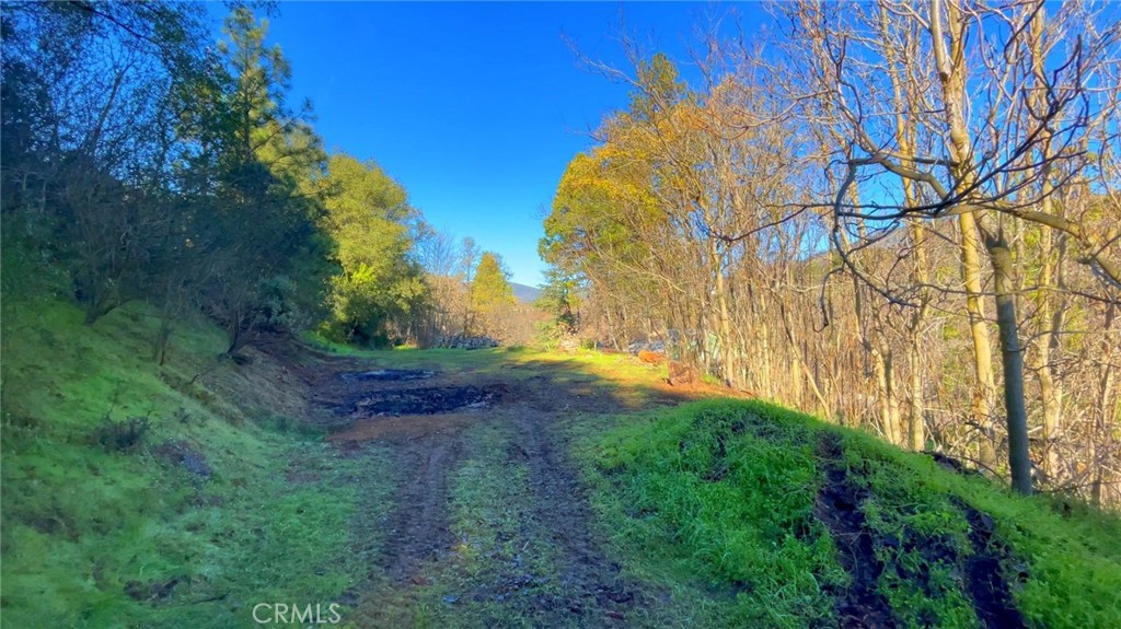 4975 Miller Road Property Photo 9