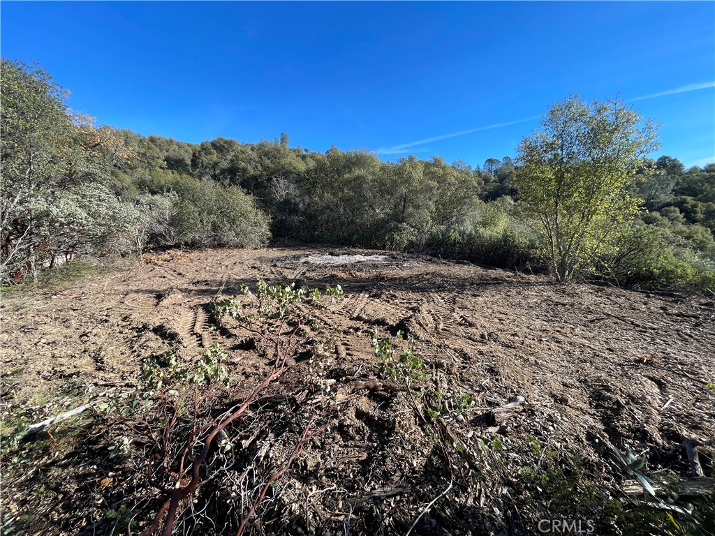 20 Harris Cutoff Road Property Photo 2