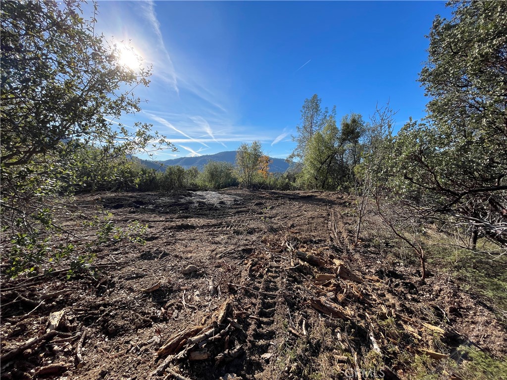 20 Harris Cutoff Road Property Photo 3