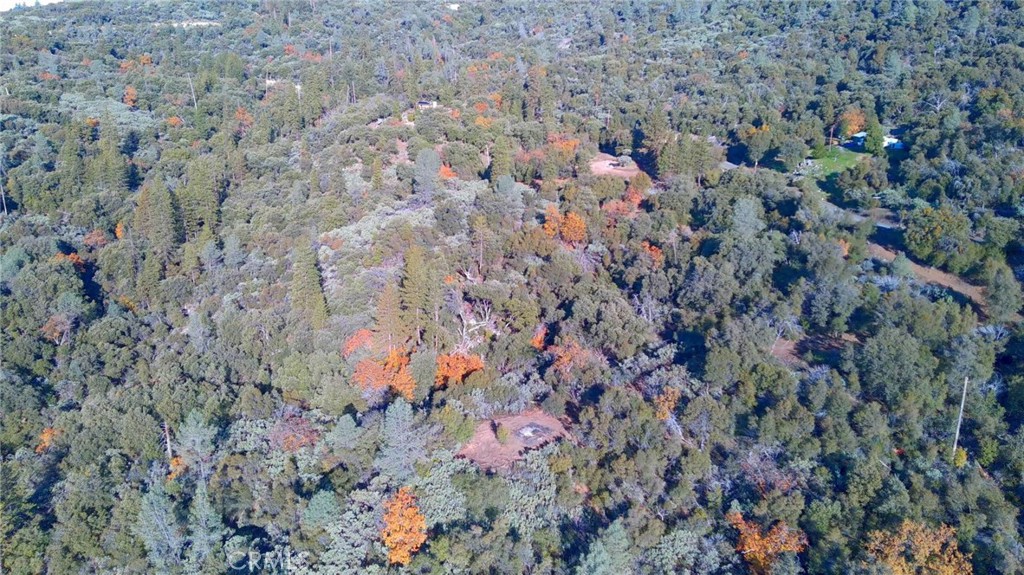 20 Harris Cutoff Road Property Photo 4