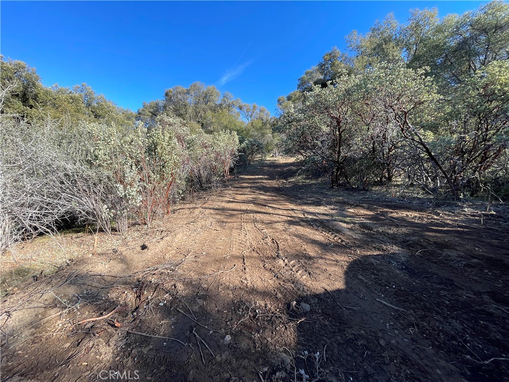 20 Harris Cutoff Road Property Photo 5