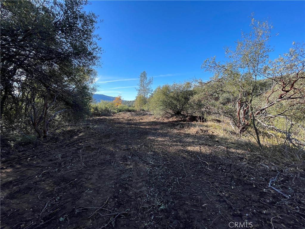 20 Harris Cutoff Road Property Photo 6