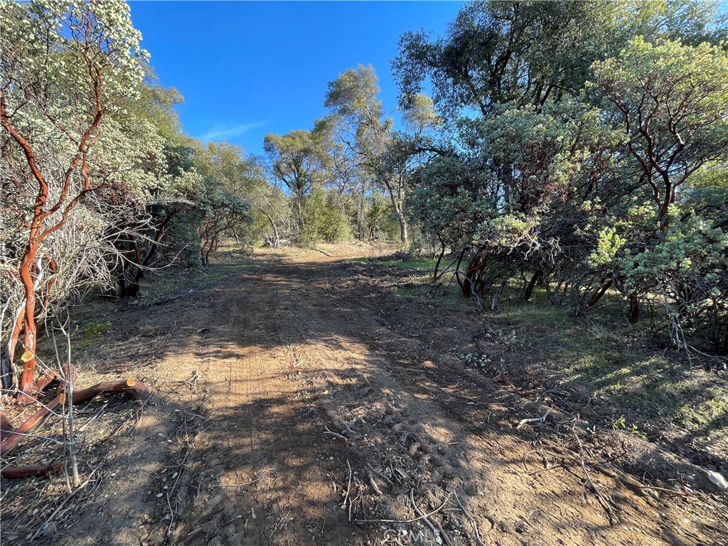20 Harris Cutoff Road Property Photo 8