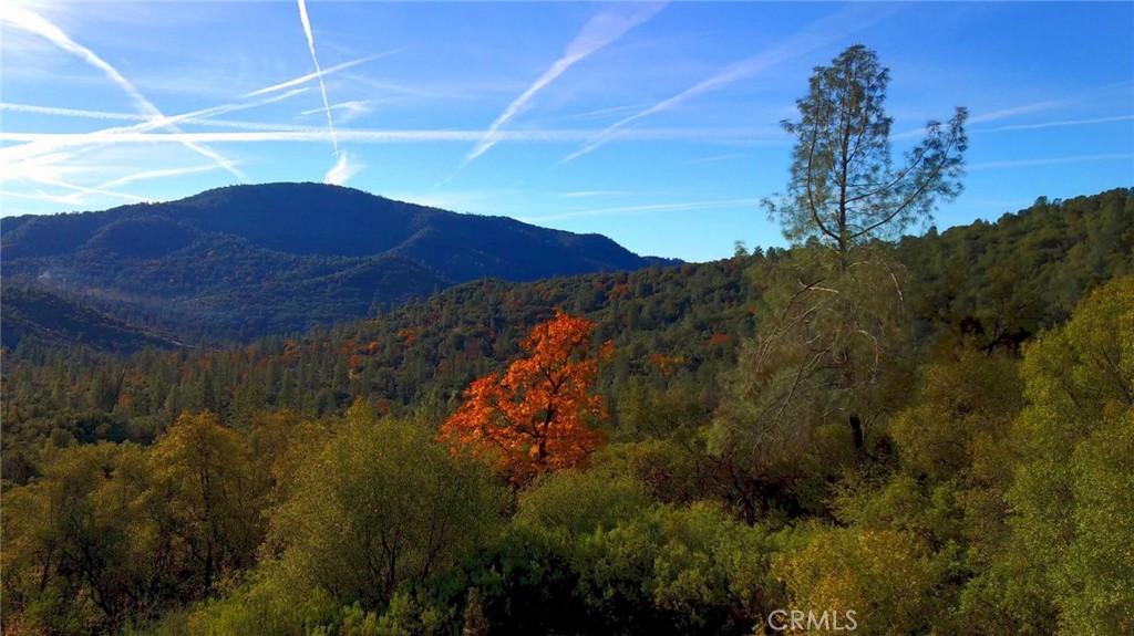 20 Harris Cutoff Road Property Photo 10