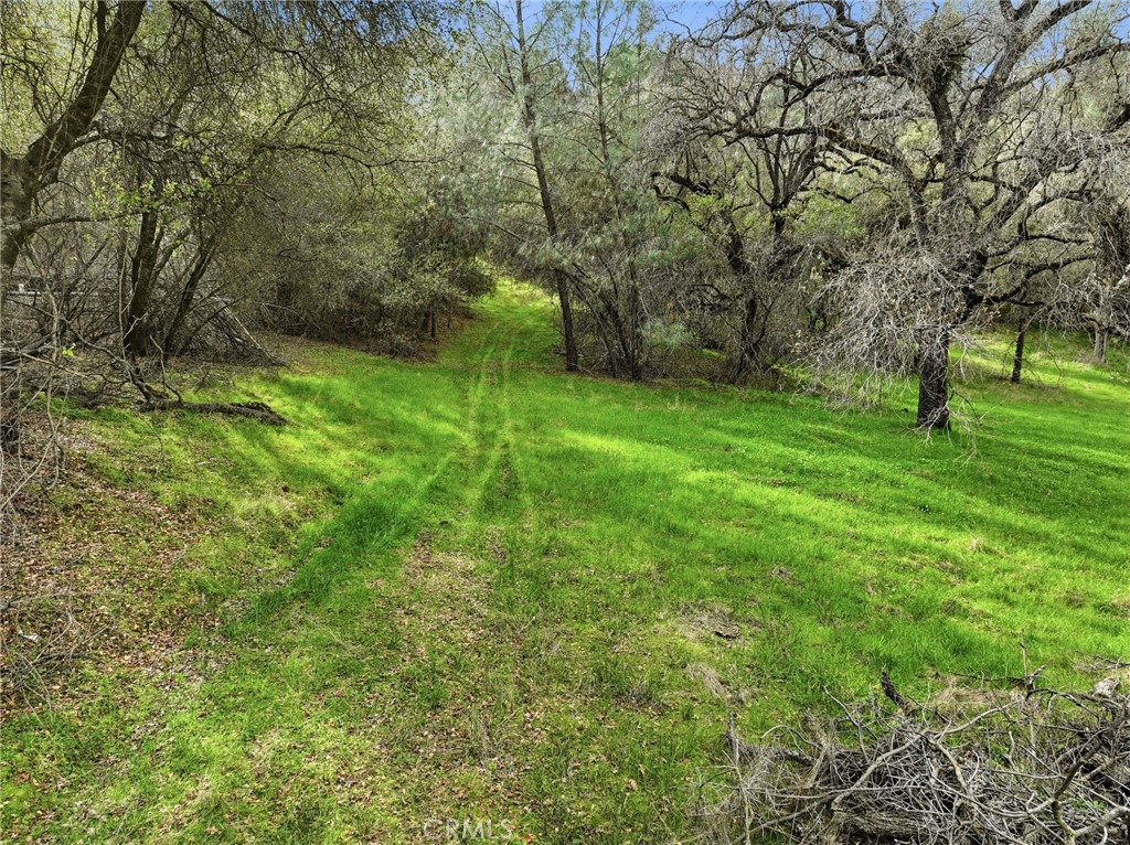 0 Lookout Moumtain Property Photo 2