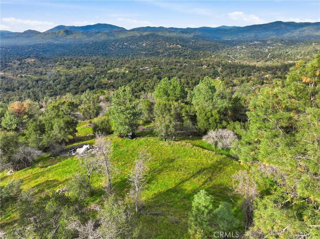0 Lookout Moumtain Property Photo 4