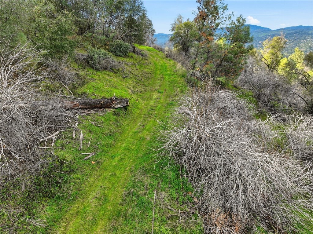 0 Lookout Moumtain Property Photo 7