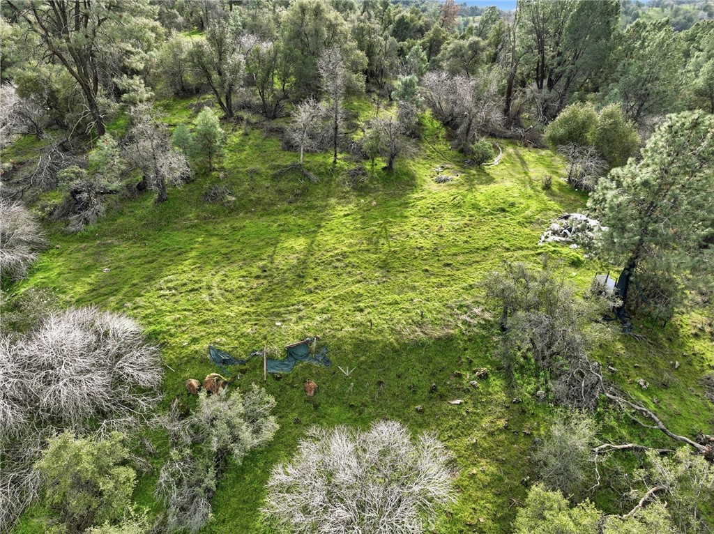 0 Lookout Moumtain Property Photo 10