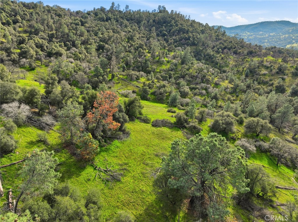 0 Lookout Moumtain Property Photo 13