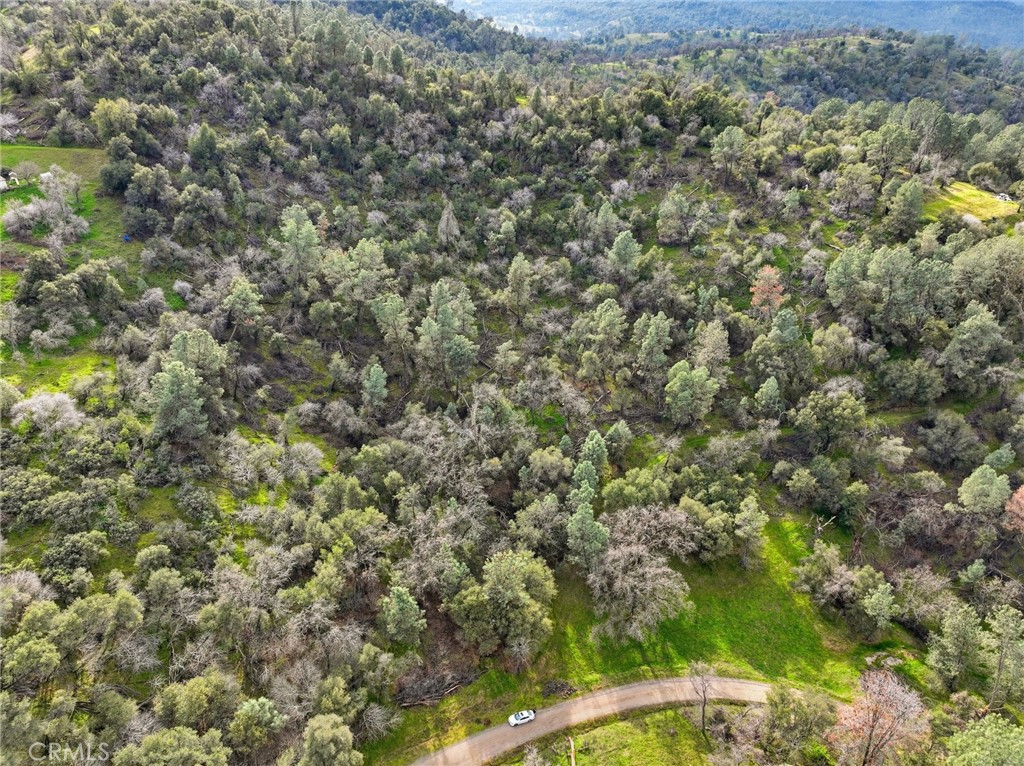 0 Lookout Moumtain Property Photo 14