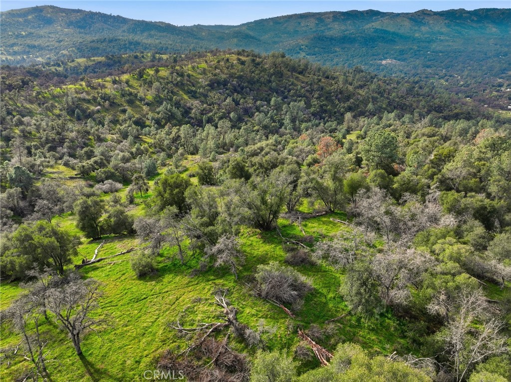 0 Lookout Moumtain Property Photo 16
