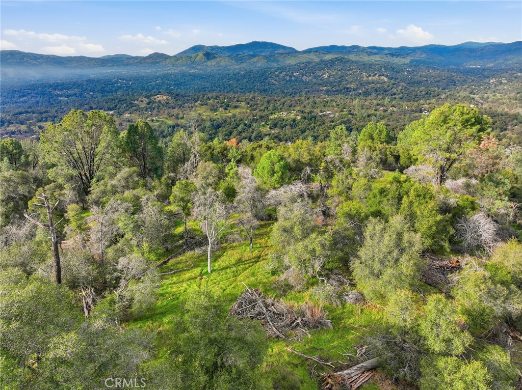 0 Lookout Moumtain Property Photo 17