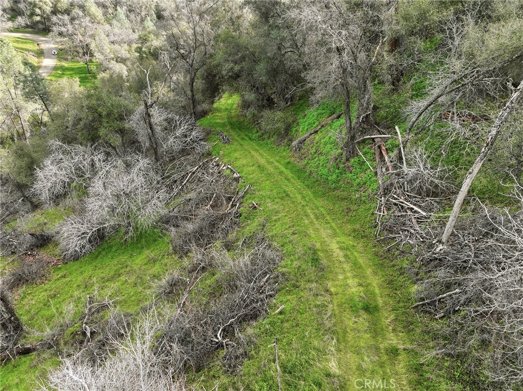 0 Lookout Moumtain Property Photo 19