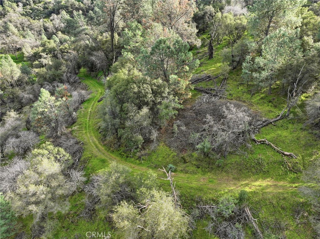 0 Lookout Moumtain Property Photo 20