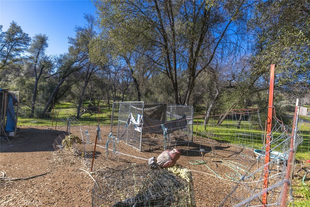 3977 Spring Court Property Photo 28