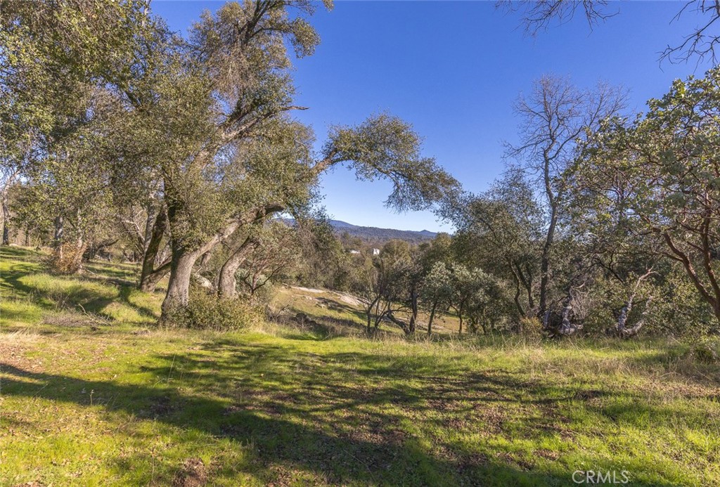 3977 Spring Court Property Photo 42