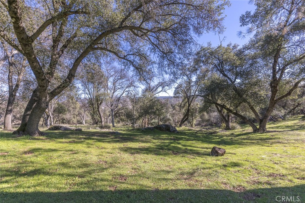 3977 Spring Court Property Photo 45