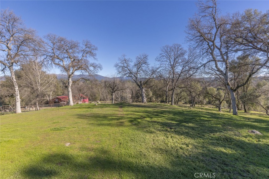 3977 Spring Court Property Photo 58