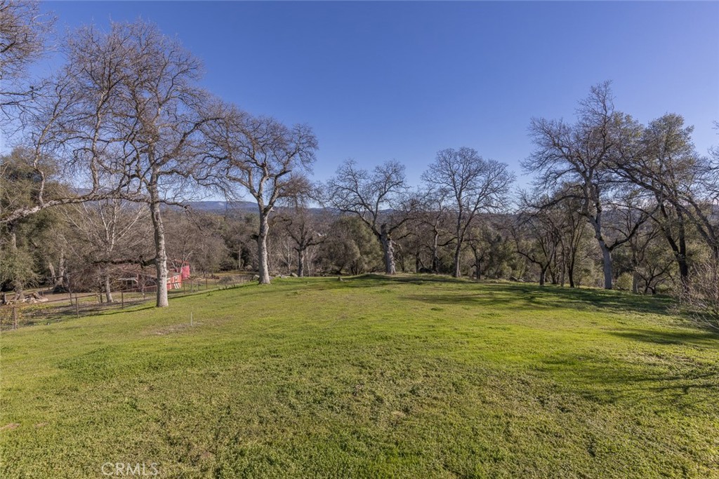 3977 Spring Court Property Photo 59