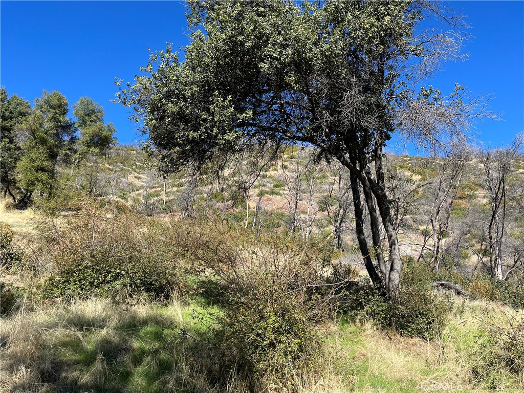 0 Triangle Road Property Photo 1