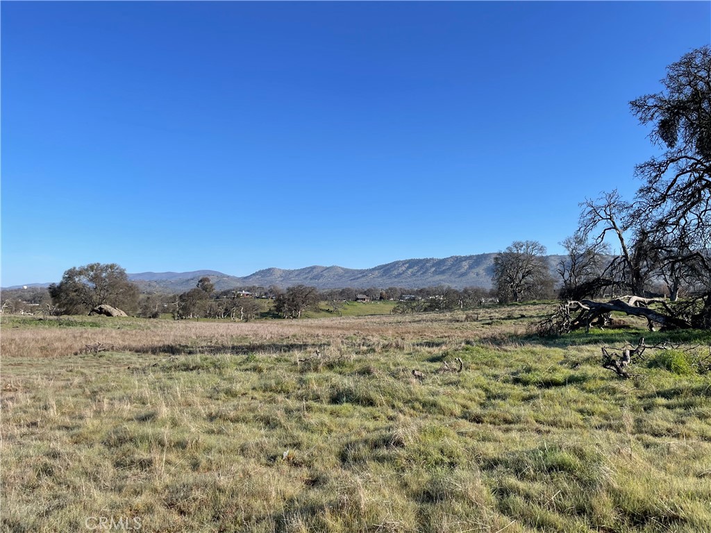 2187 Tinkers Penny Property Photo 1
