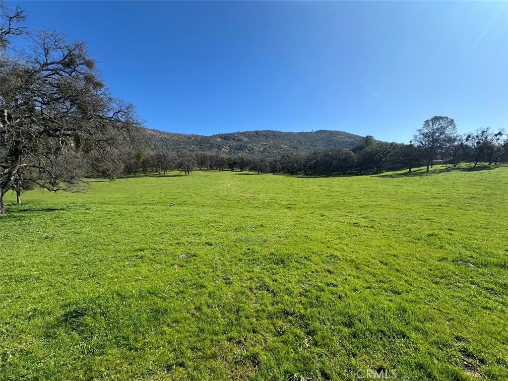 471 Ac - Hwy 49n Property Photo 1