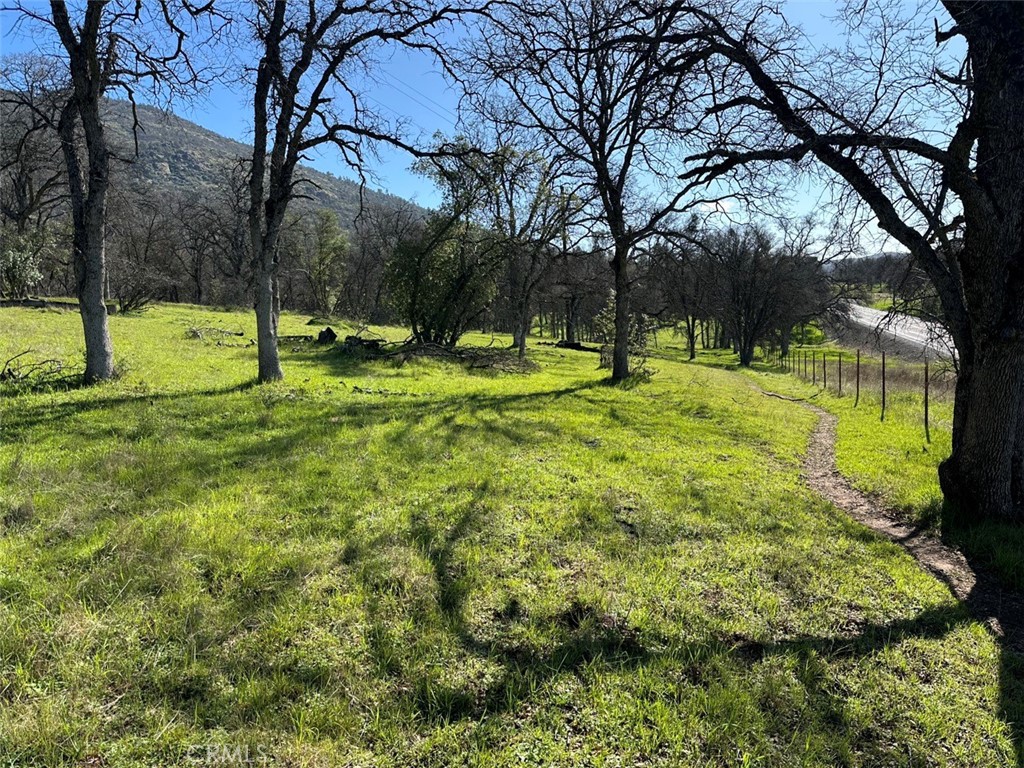 471 Ac - Hwy 49n Property Photo 8