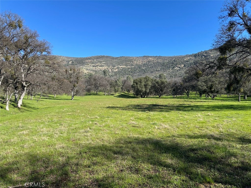 471 Ac - Hwy 49n Property Photo 11