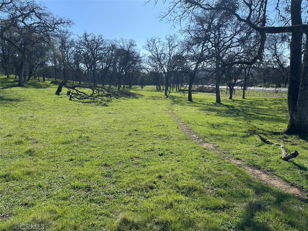 471 Ac - Hwy 49n Property Photo 14