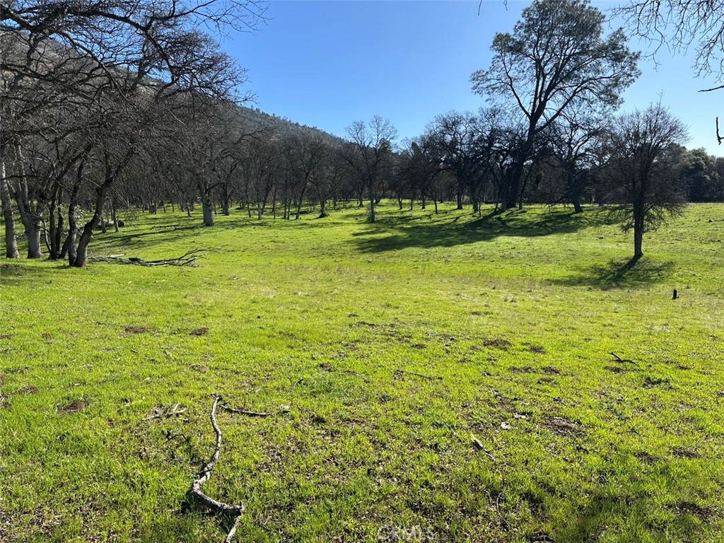471 Ac - Hwy 49n Property Photo 15