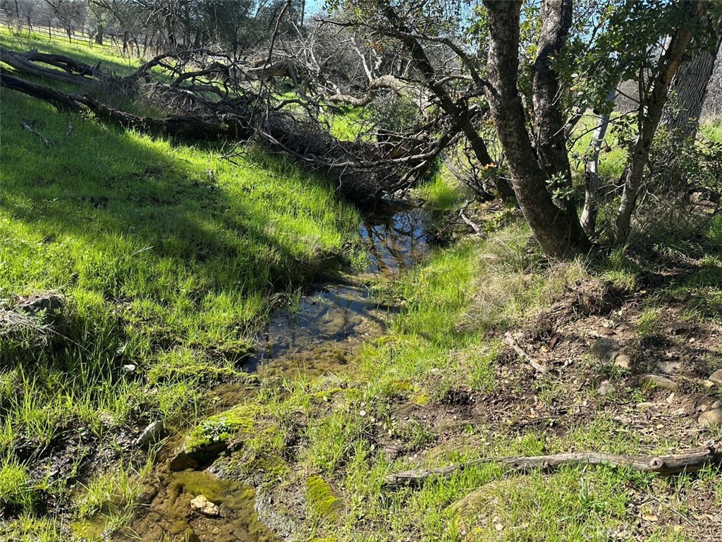 471 Ac - Hwy 49n Property Photo 18