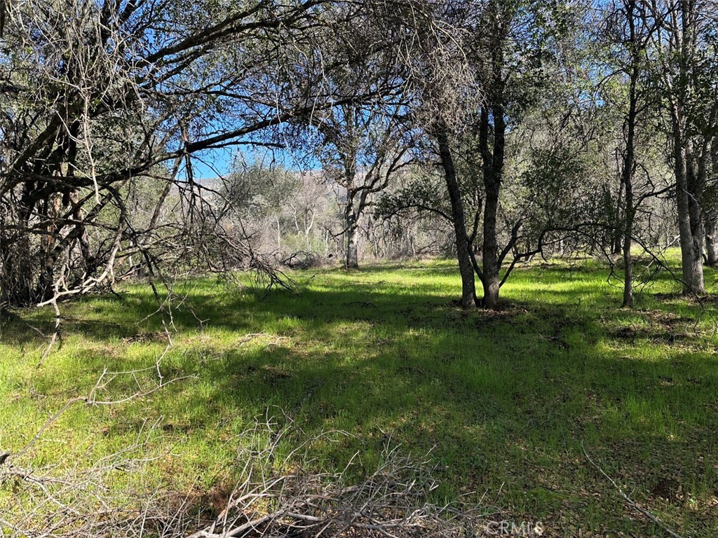 471 Ac - Hwy 49n Property Photo 20