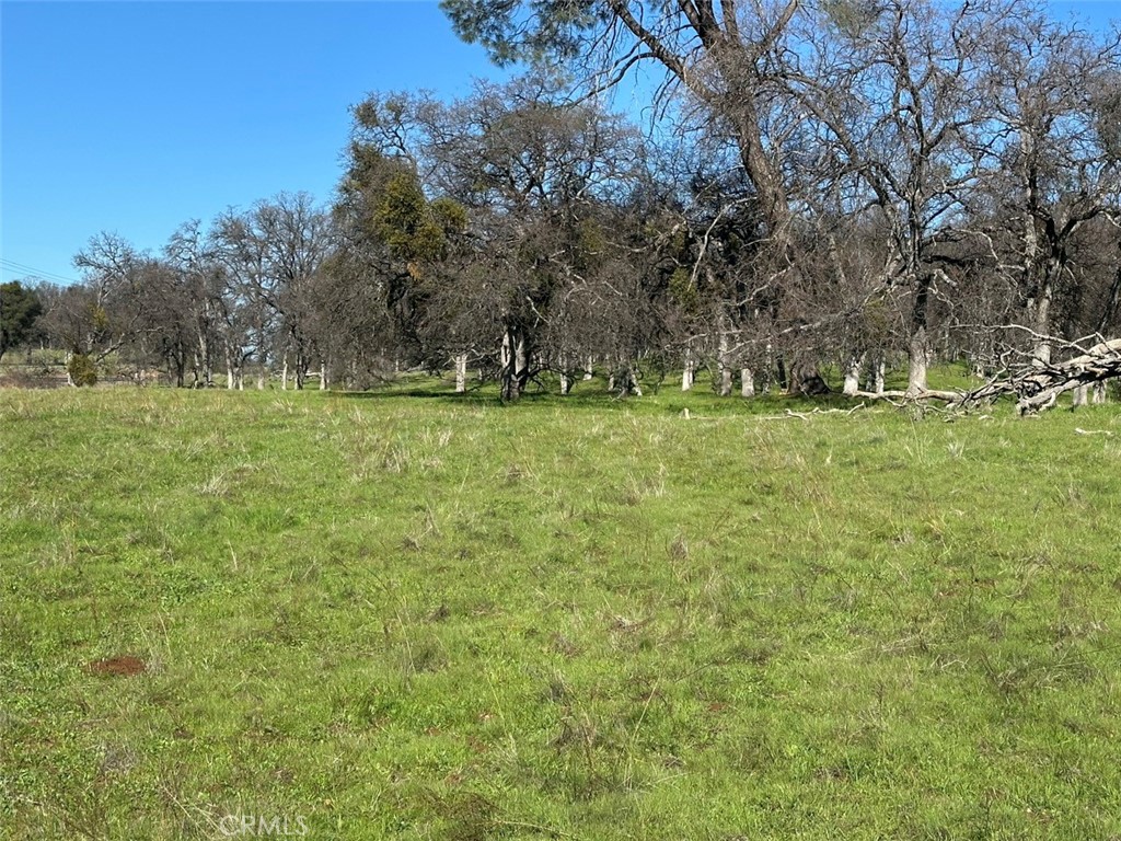 471 Ac - Hwy 49n Property Photo 22