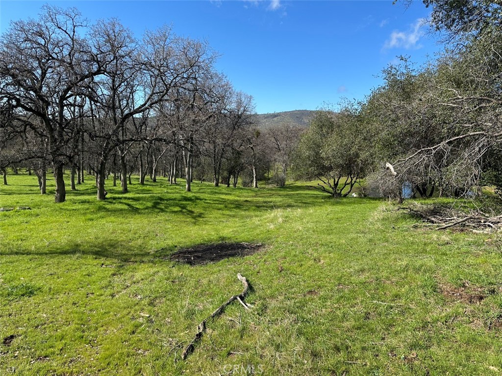 471 Ac - Hwy 49n Property Photo 32