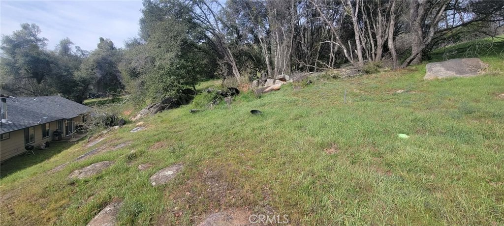 4121 Indian Rock Property Photo 33