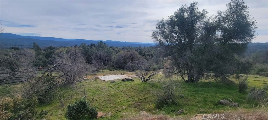 4121 Indian Rock Property Photo 34