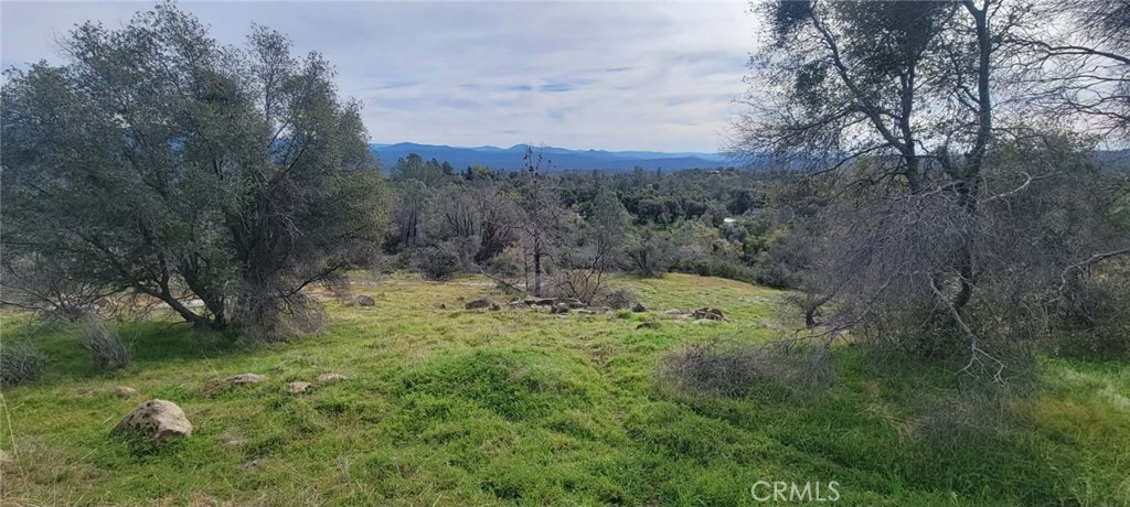 4121 Indian Rock Property Photo 35