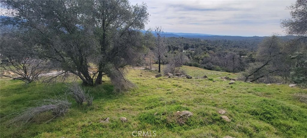 4121 Indian Rock Property Photo 36