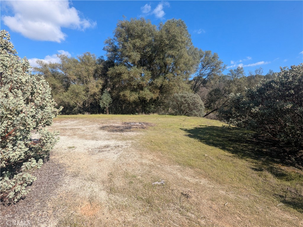 4181 Burl Property Photo 3