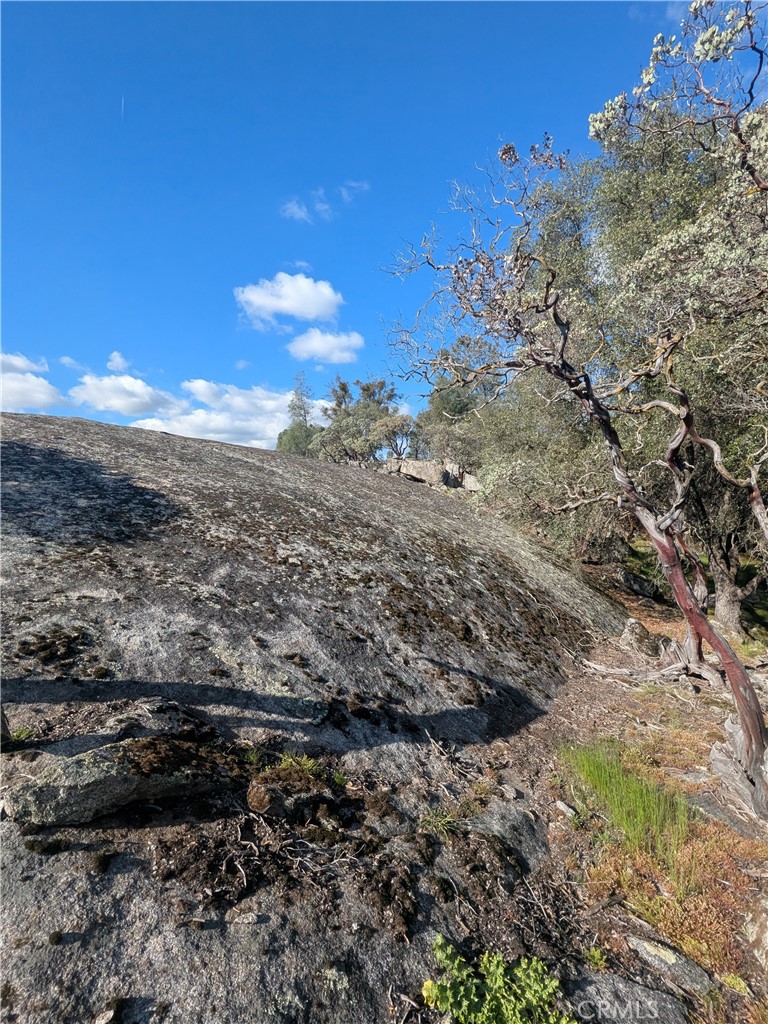 4181 Burl Property Photo 5