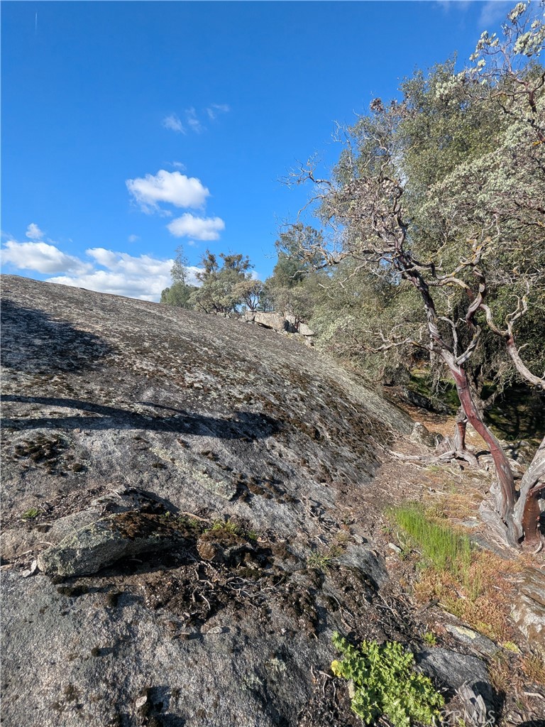 4181 Burl Property Photo 6