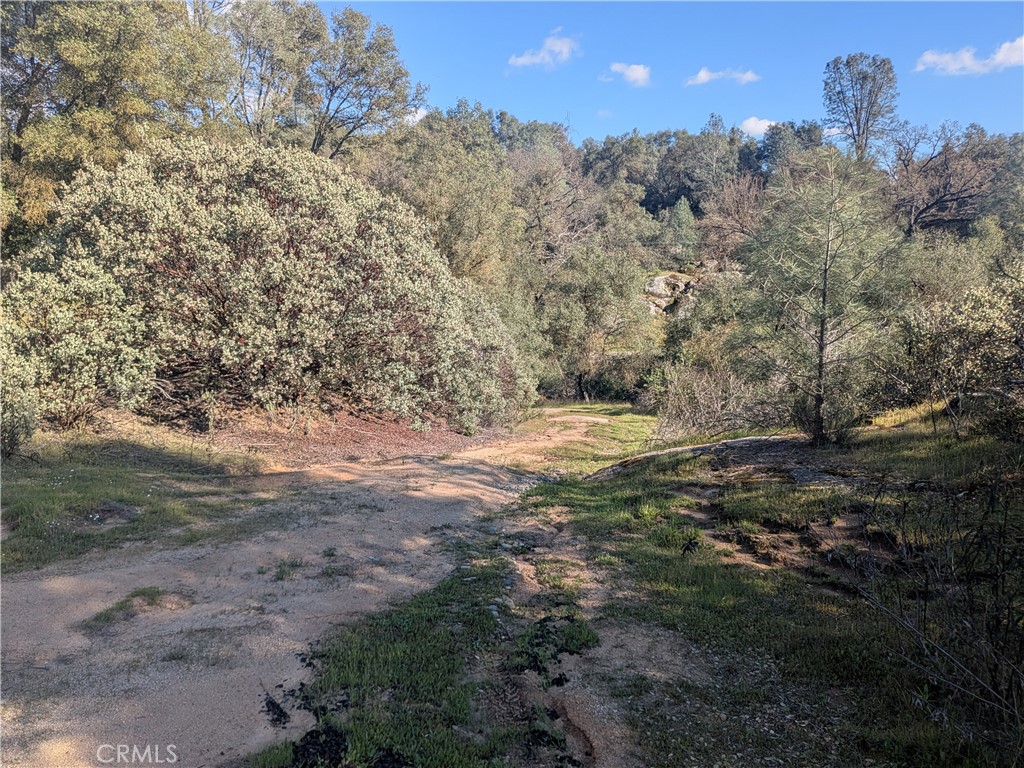 4181 Burl Property Photo 23